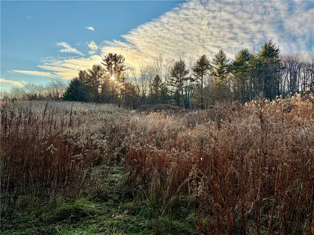 $475,000 | 196 Short Crumhorn Road, Maryland, NY 12116