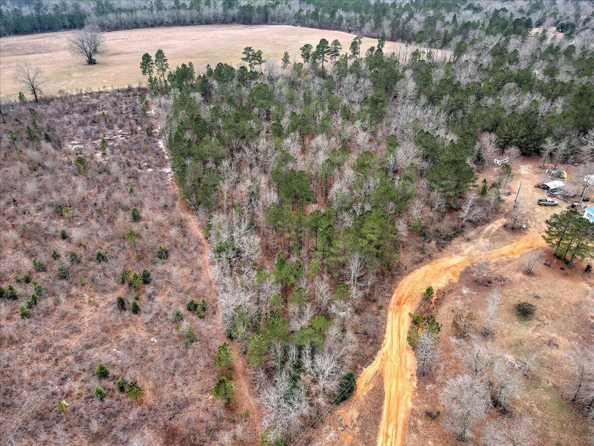 Tr-5 West Wilderness Road Williston, SC 29853 - Photo 3 of 14