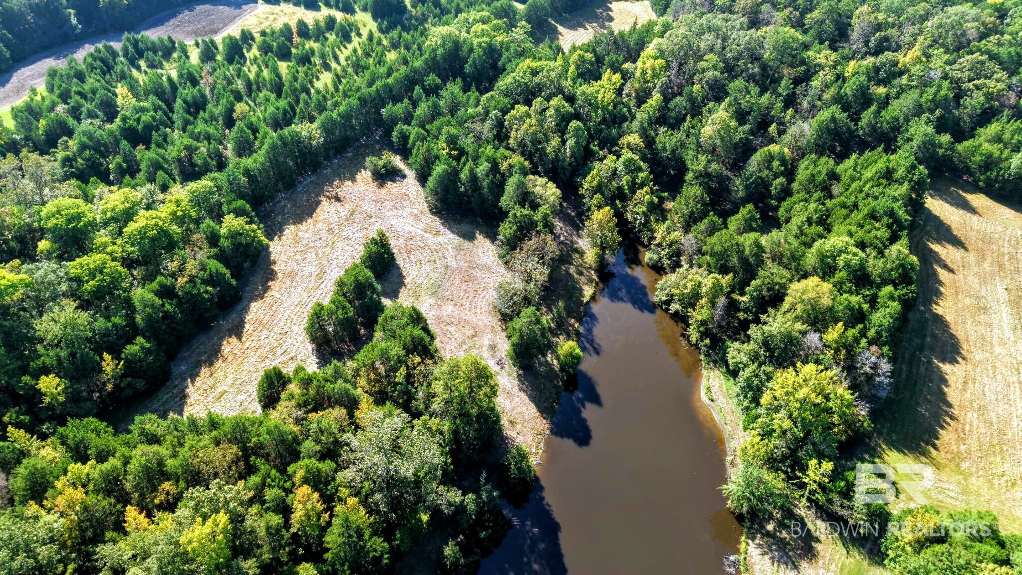 0 Highway 17 Millry, AL 36558 - Photo 12 of 73 Gallery Image 12