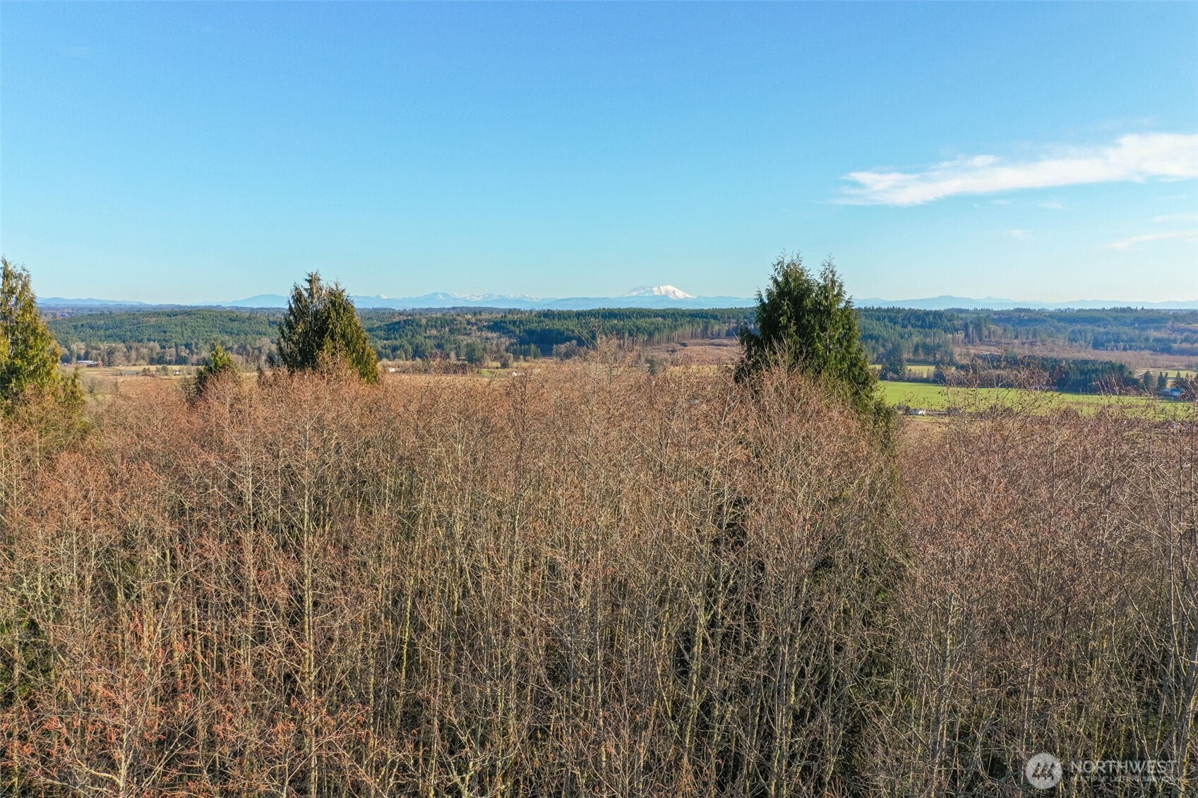 0 Hewitt Road Chehalis, WA 98532 - Photo 3 of 15 a view of a lake