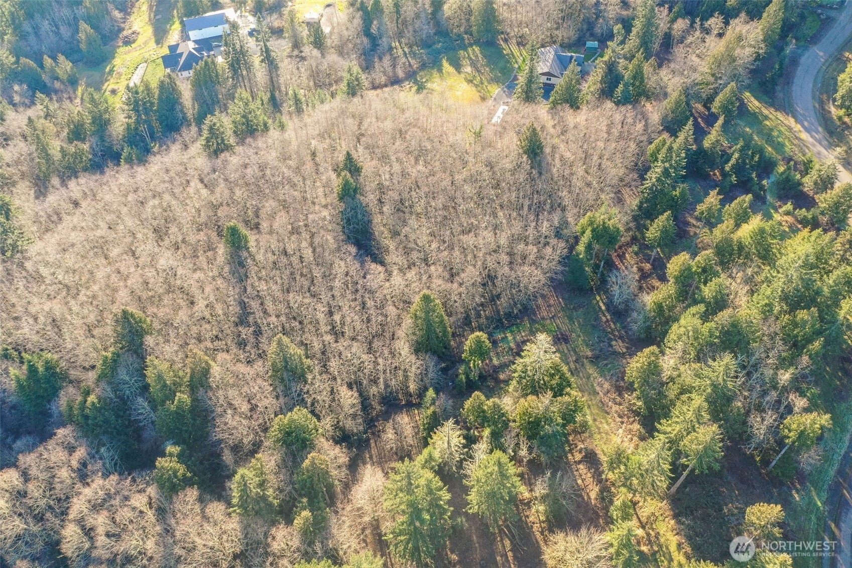 0 Hewitt Road Chehalis, WA 98532 - Photo 5 of 15 a close up of a plant