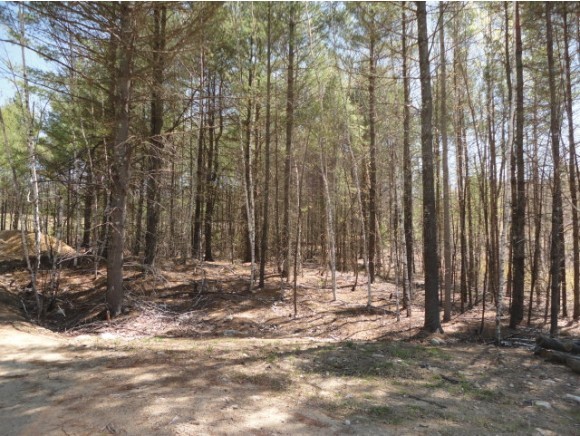 Lot 12 Rowe Farm Road Gilford, NH 03249 - Photo 1 of 3