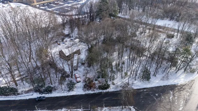 a view of a tree in a yard