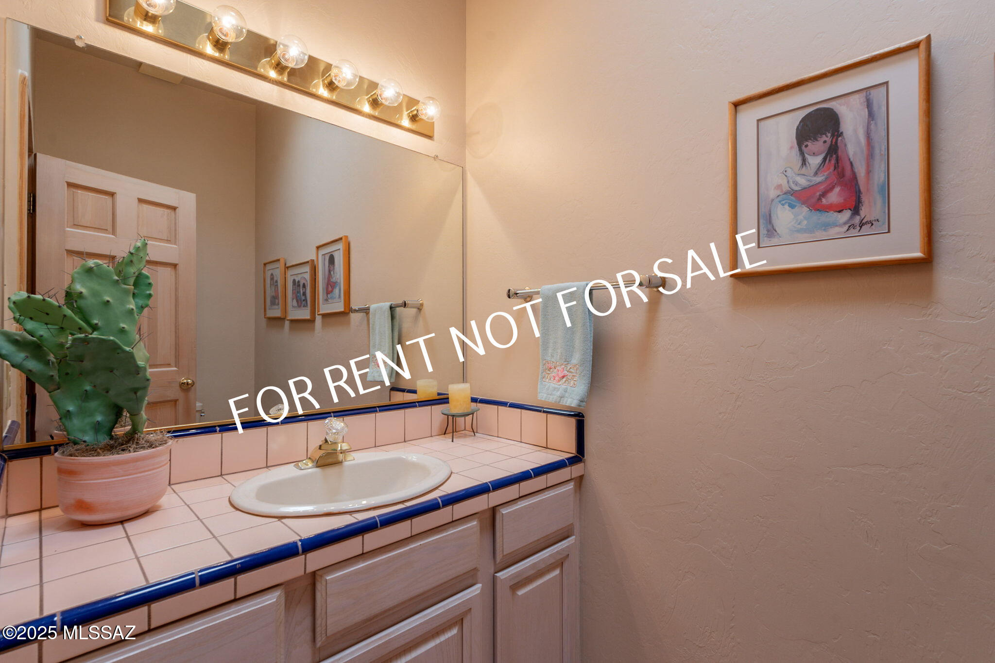 9876 North Ridge Shadow Place Tucson, AZ 85704 - Photo 24 of 48