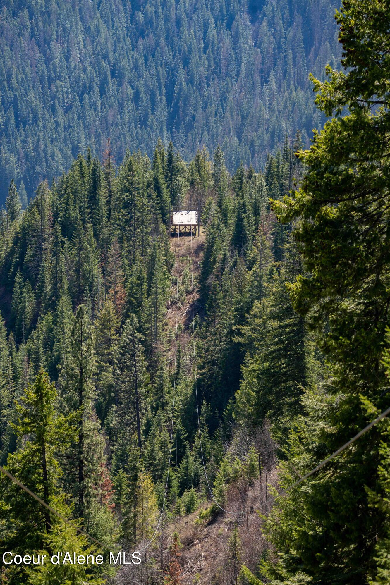 Nine Mile Road Wallace, ID 83873 - Photo 18 of 52 Zip Line