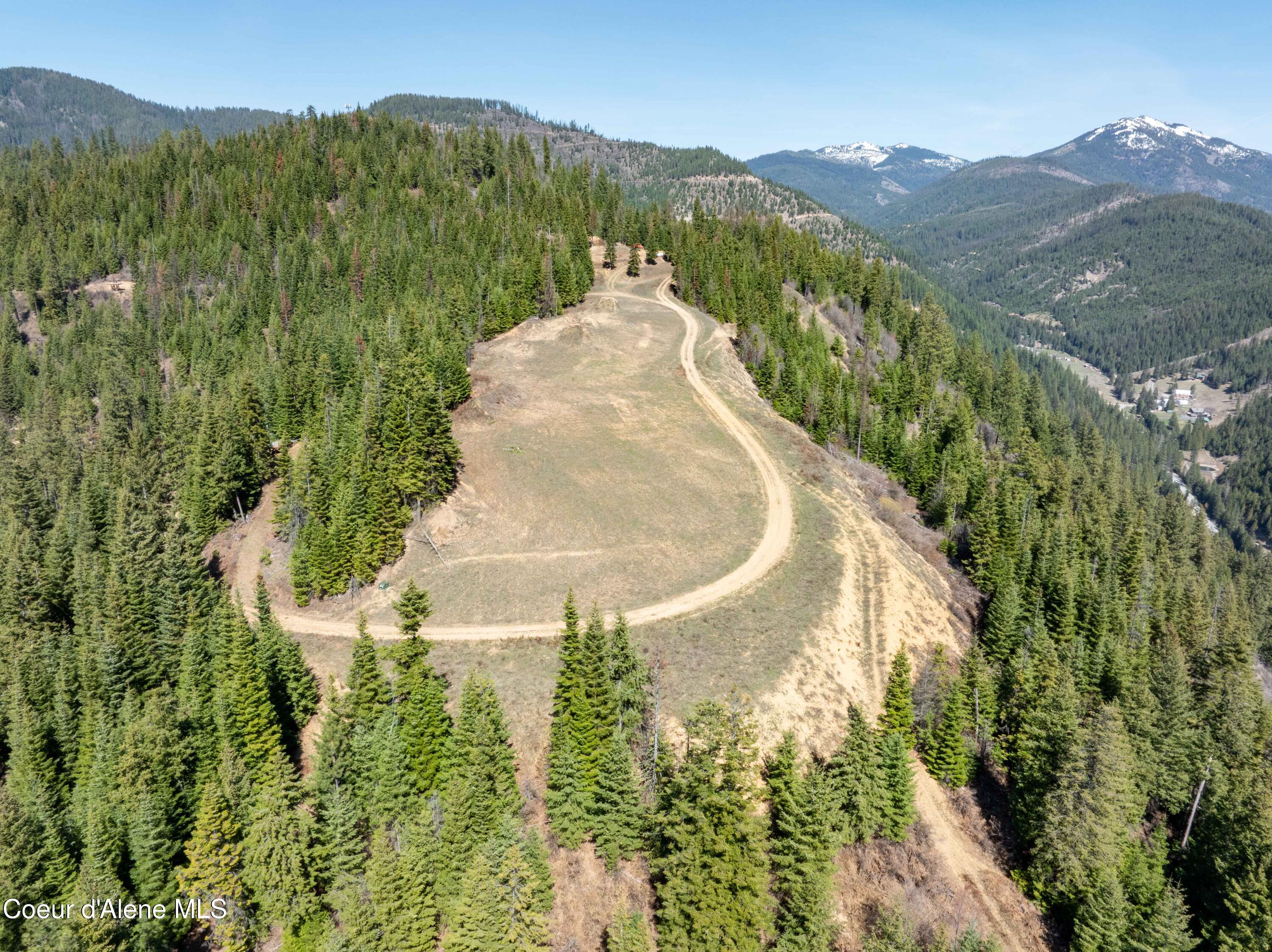 Nine Mile Road Wallace, ID 83873 - Photo 49 of 52 Clearing