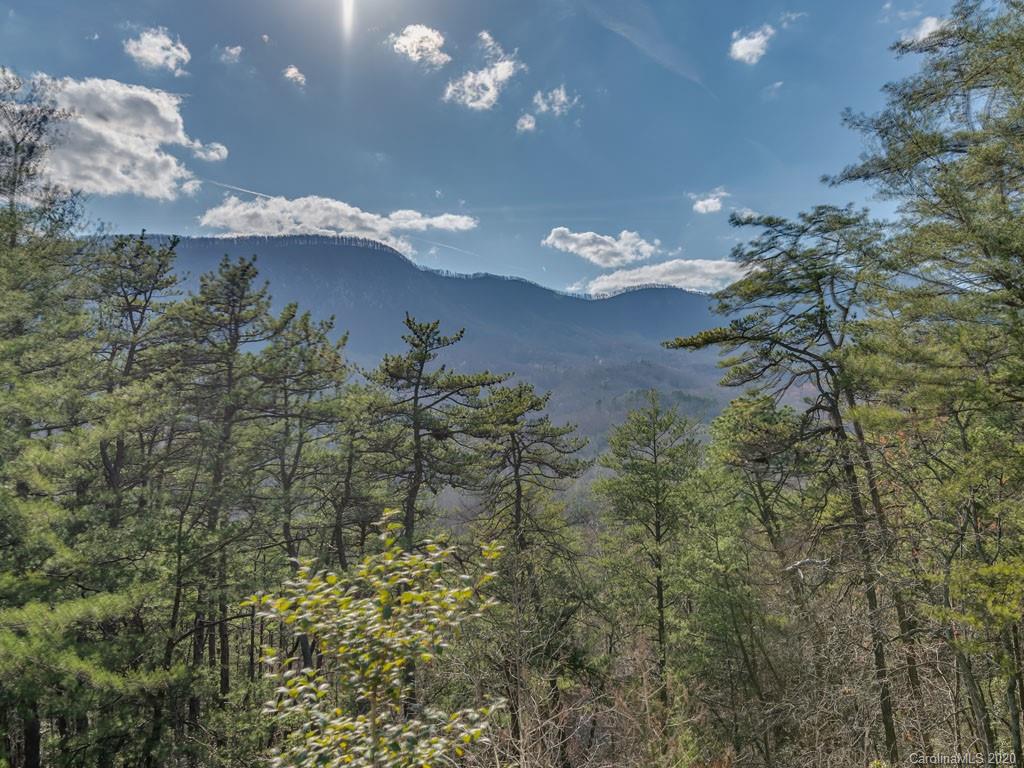 186 Ridgeway Road Lake Lure, NC 28746 - Photo 25 of 34 Gallery Image 25