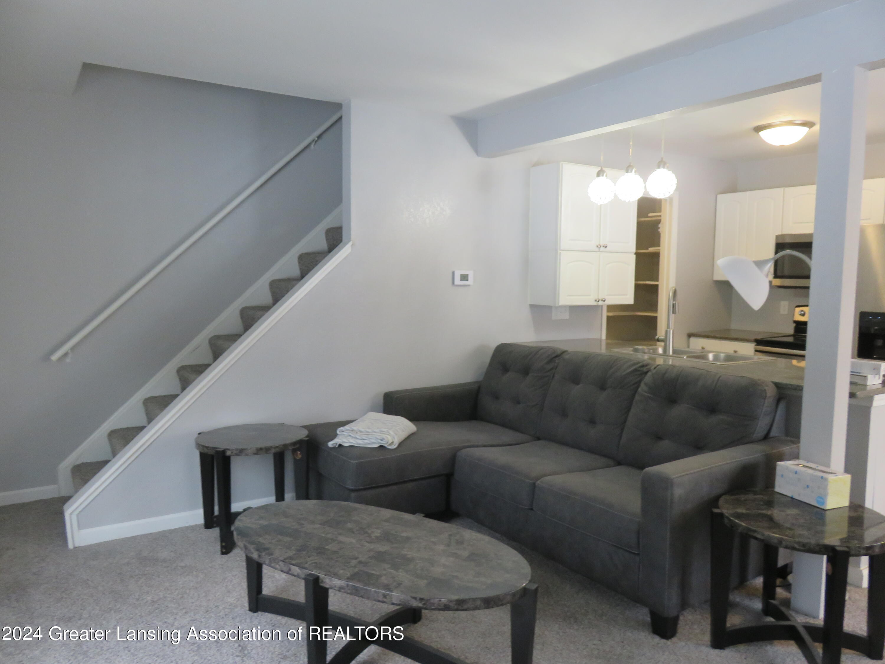 3950 Hunters Ridge Drive, Unit 3 Lansing, MI 48911 - Photo 11 of 34 IMG_3833