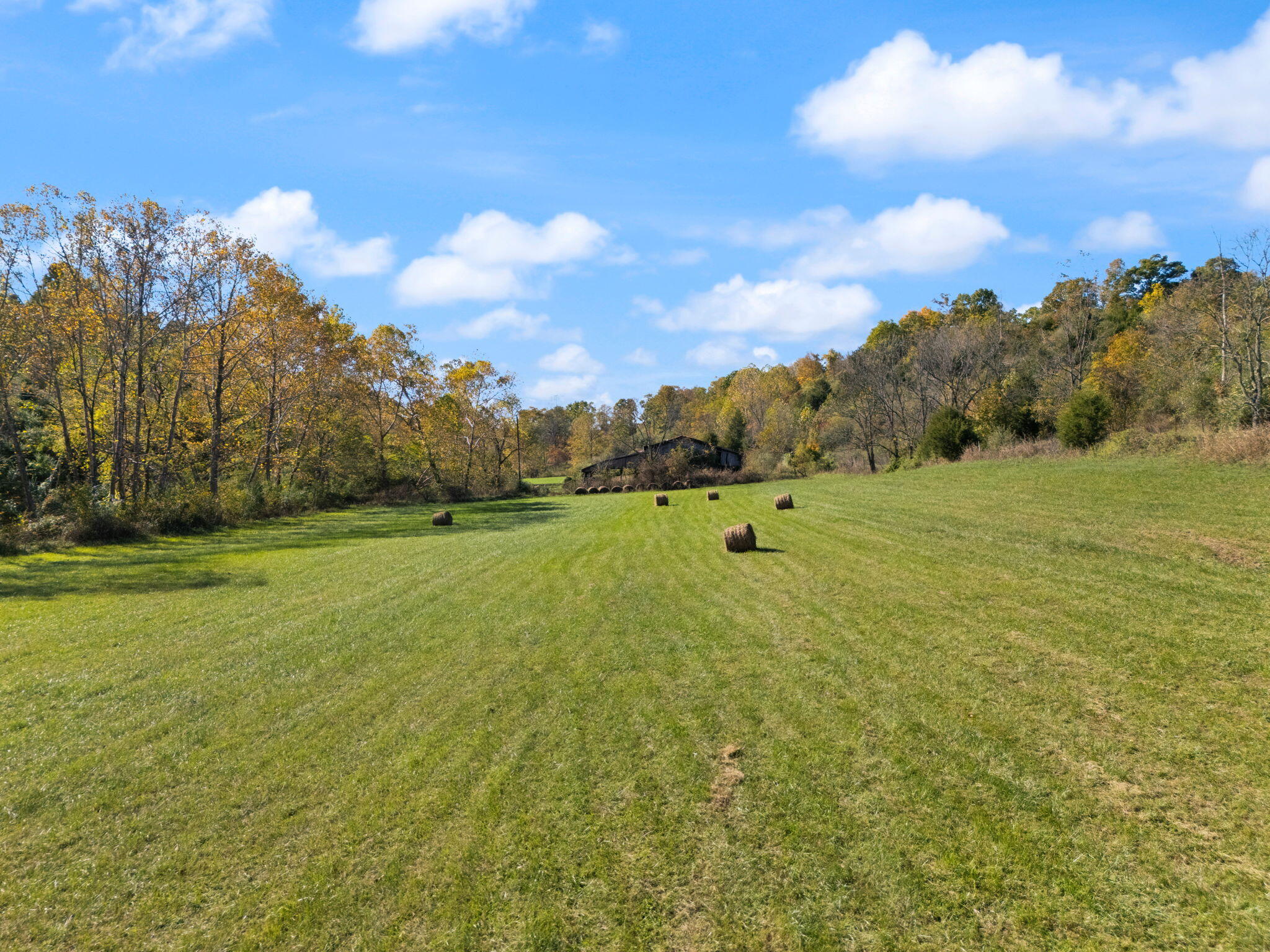 27 All Horn Branch Road Denton, KY 41132 - Photo 42 of 60 51-web-or-mls-DJI_20241018150445_0261_D