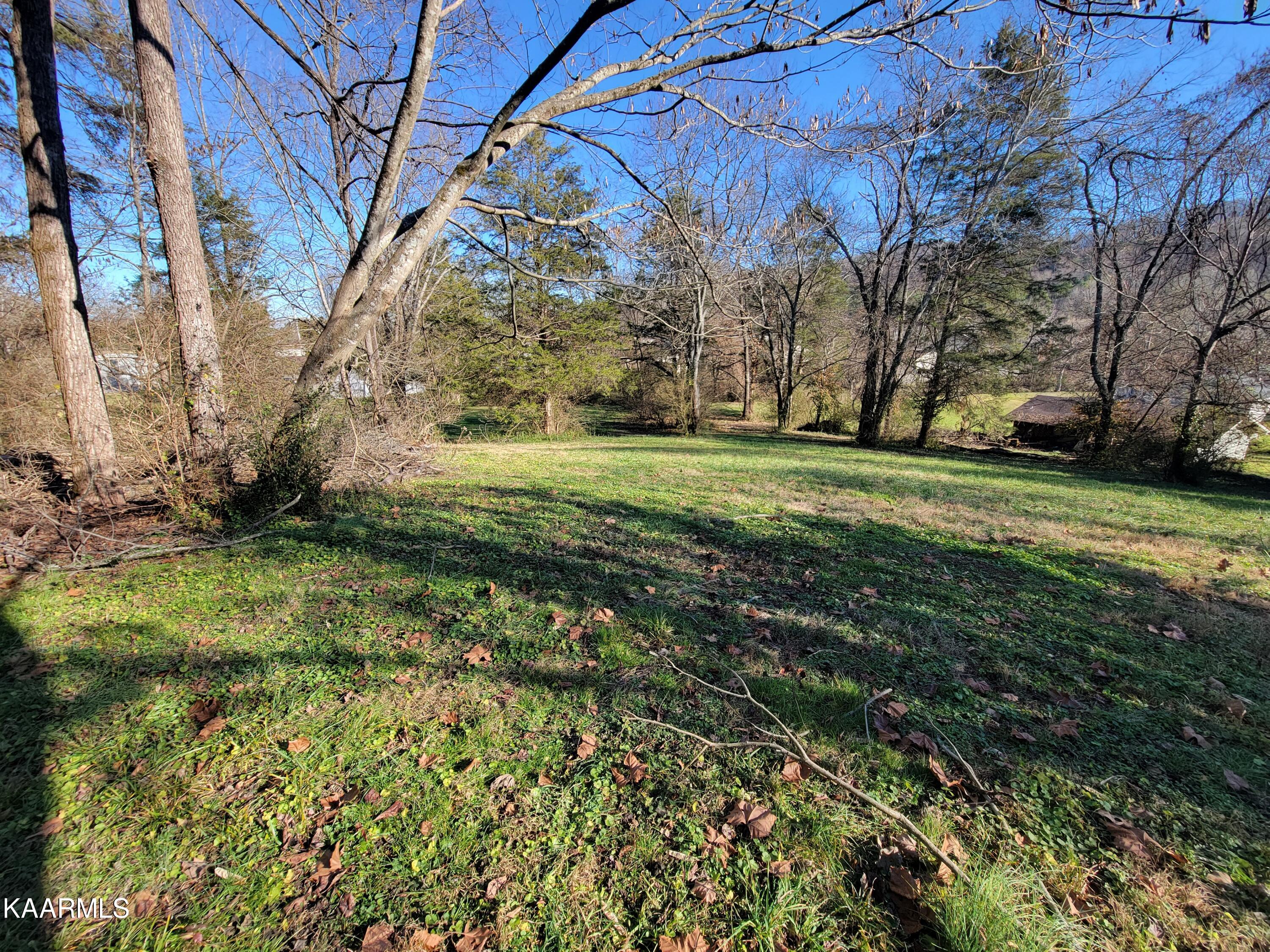 18 Lindale Lane Oak Ridge, TN 37830 - Photo 3 of 28 Front Yard