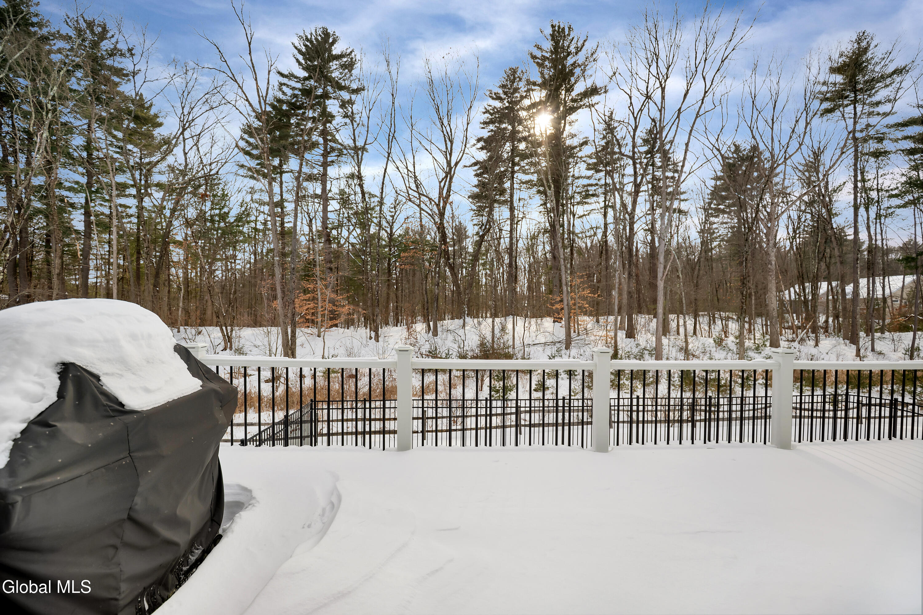 9 Linden Park Drive Halfmoon, NY 12065 - Photo 44 of 46 41_9 linden park dr clifton park