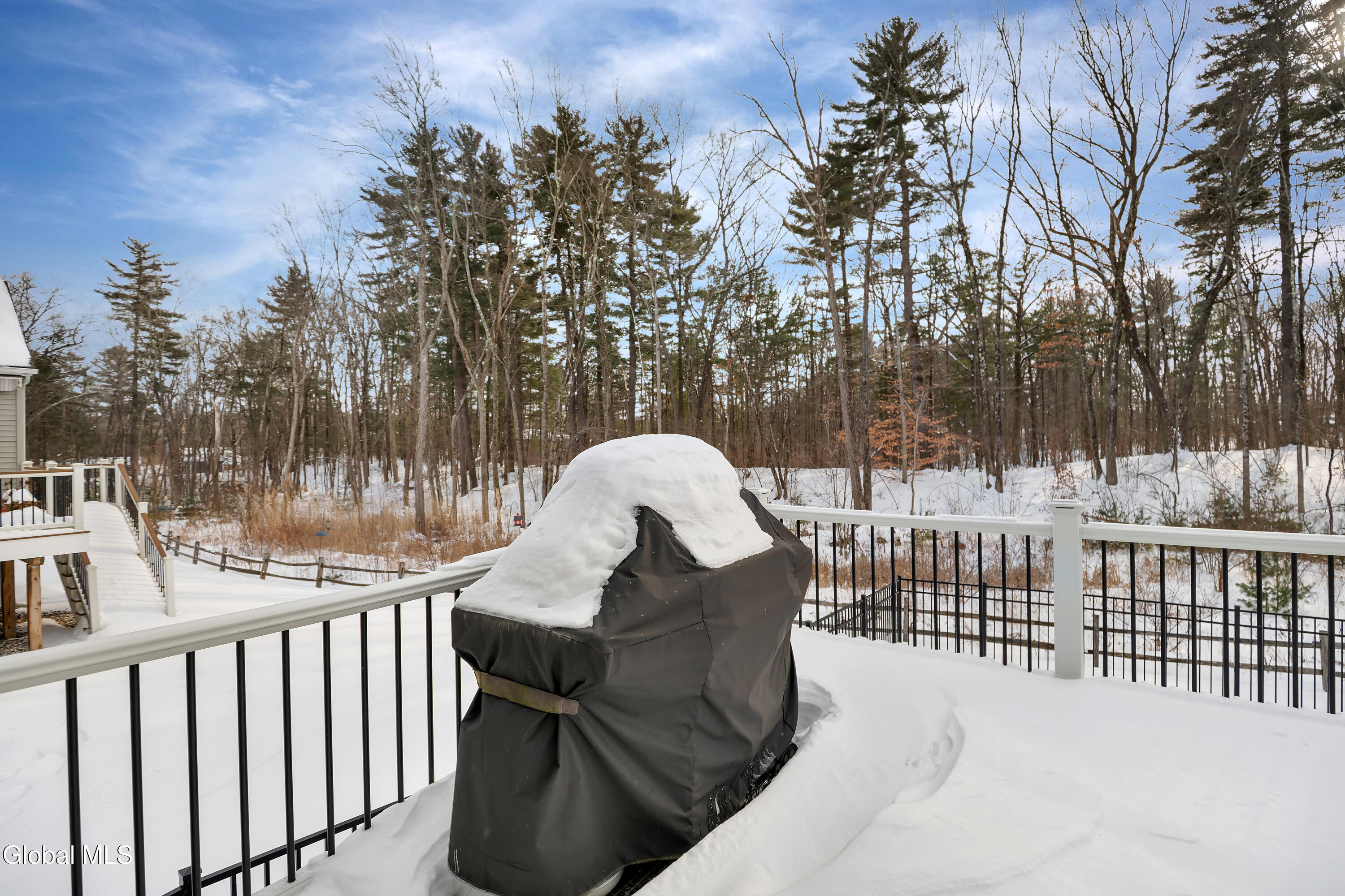 9 Linden Park Drive Halfmoon, NY 12065 - Photo 45 of 46 42_9 linden park dr clifton park