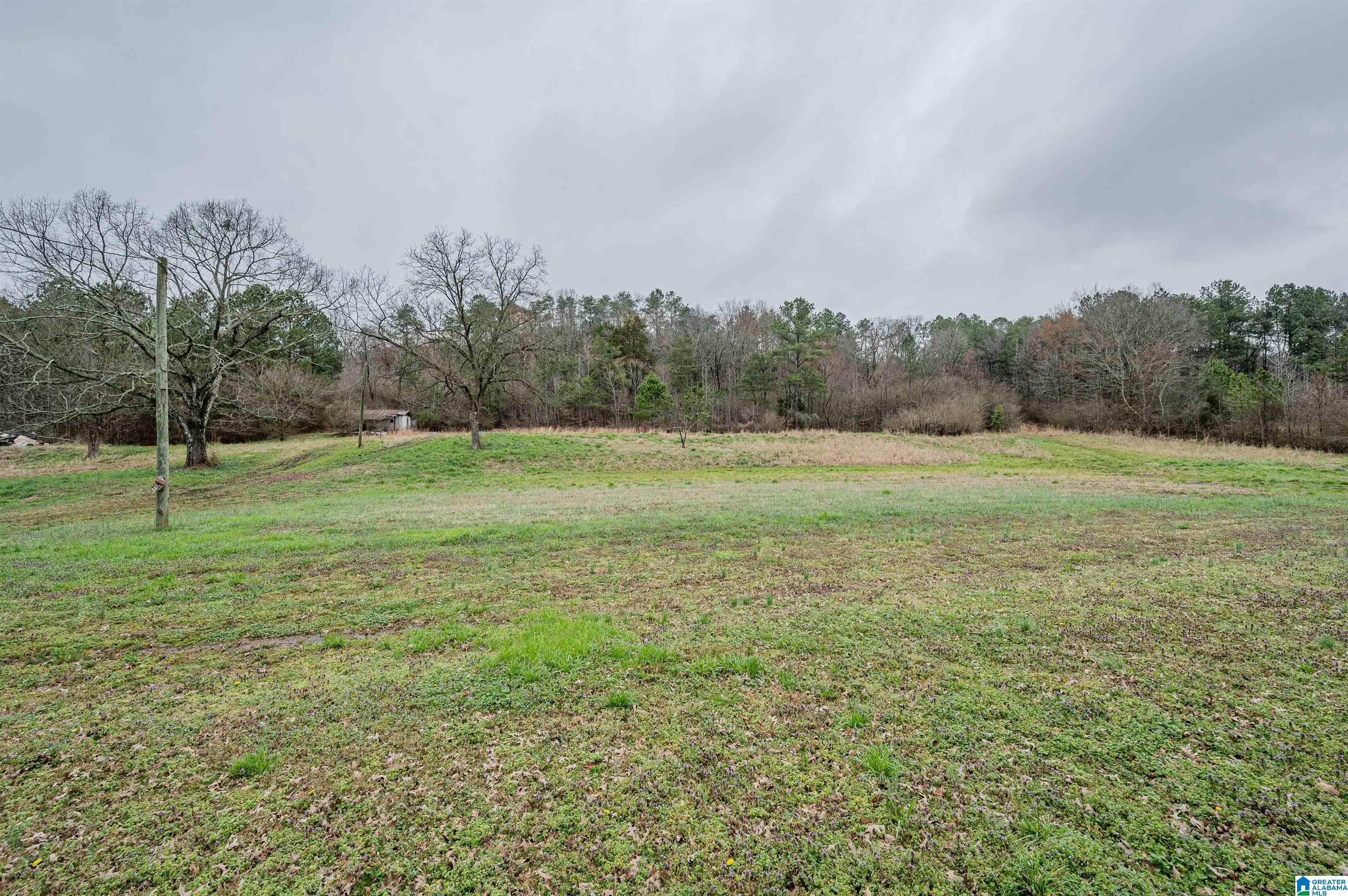 3861 Five Points Road Cleveland, AL 35049 - Photo 38 of 43