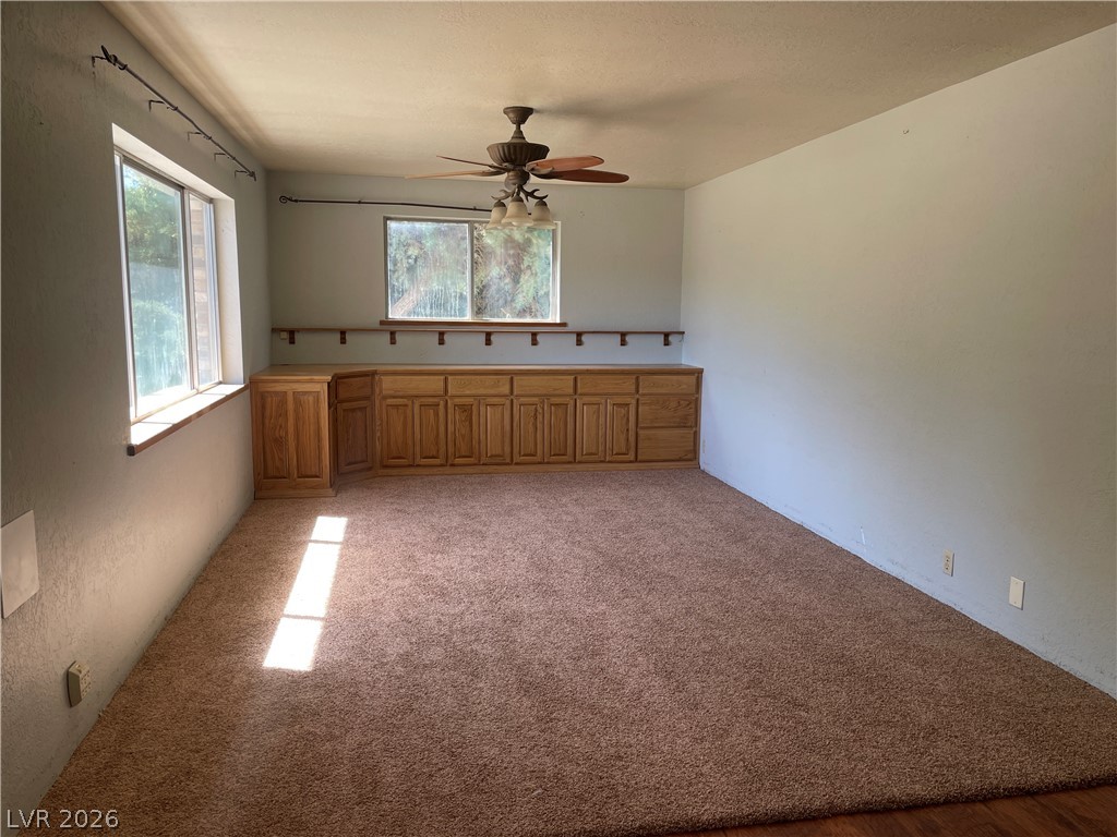 45 North Elm Lund, NV 89317 - Photo 26 of 45