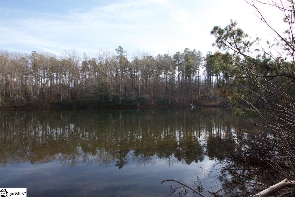 0 Virginia Road Travelers Rest, SC 29690 - Photo 1 of 14