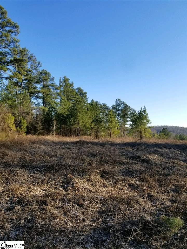 0 Virginia Road Travelers Rest, SC 29690 - Photo 2 of 14