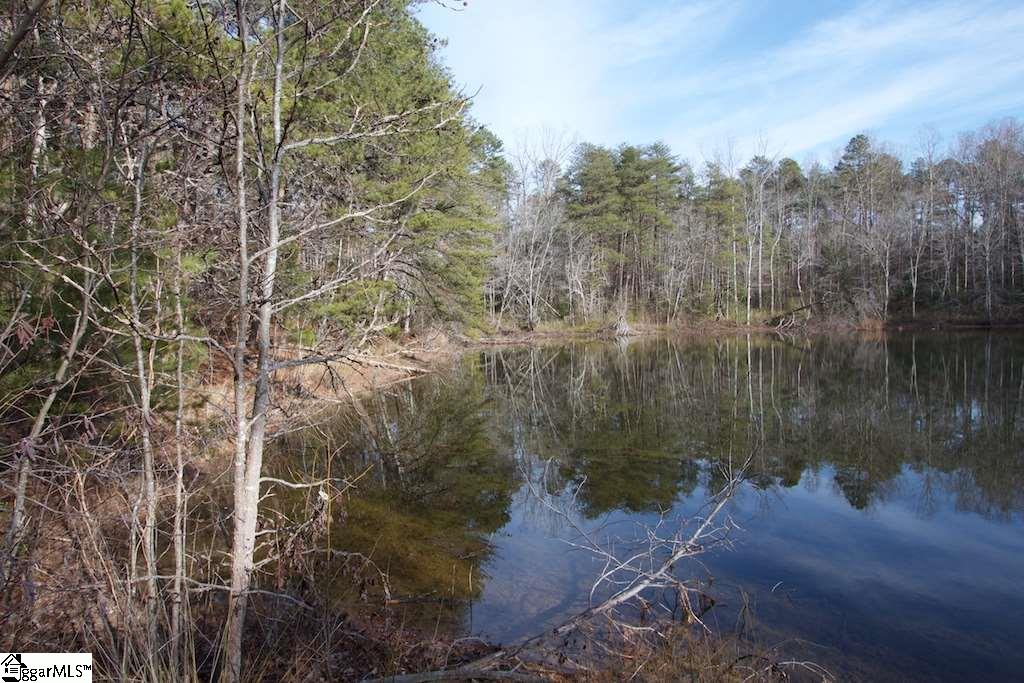 0 Virginia Road Travelers Rest, SC 29690 - Photo 11 of 14
