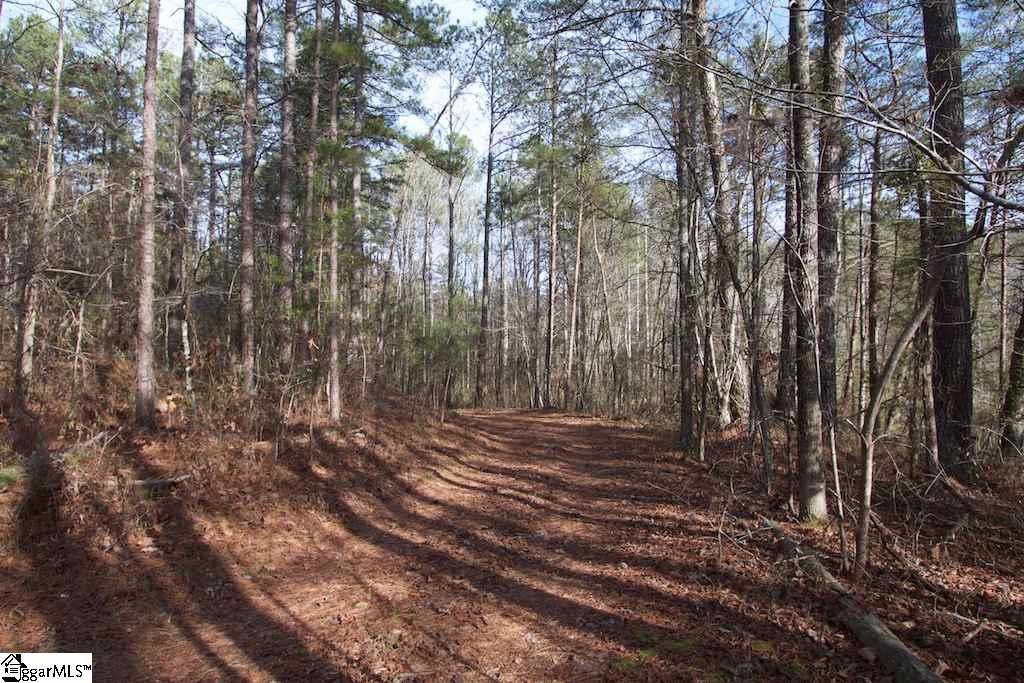 0 Virginia Road Travelers Rest, SC 29690 - Photo 4 of 14