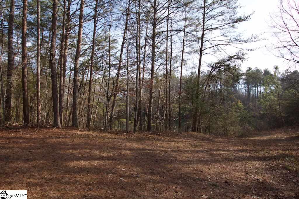 0 Virginia Road Travelers Rest, SC 29690 - Photo 5 of 14