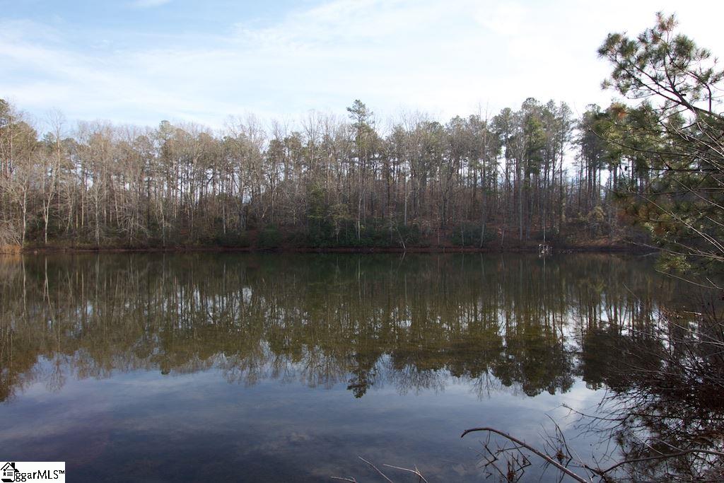 0 Virginia Road Travelers Rest, SC 29690 - Photo 8 of 14