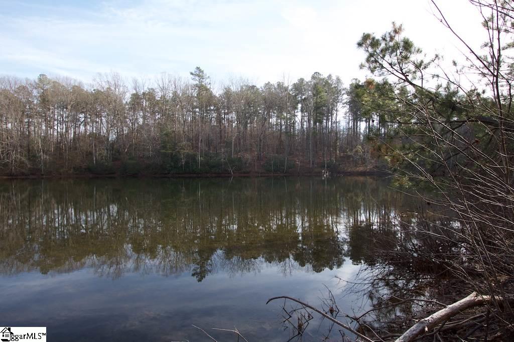0 Virginia Road Travelers Rest, SC 29690 - Photo 9 of 14