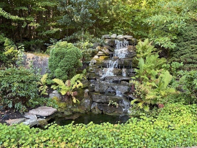 9 Auburn Road Millbury, MA 01527 - Photo 42 of 42 a view of a garden with plants