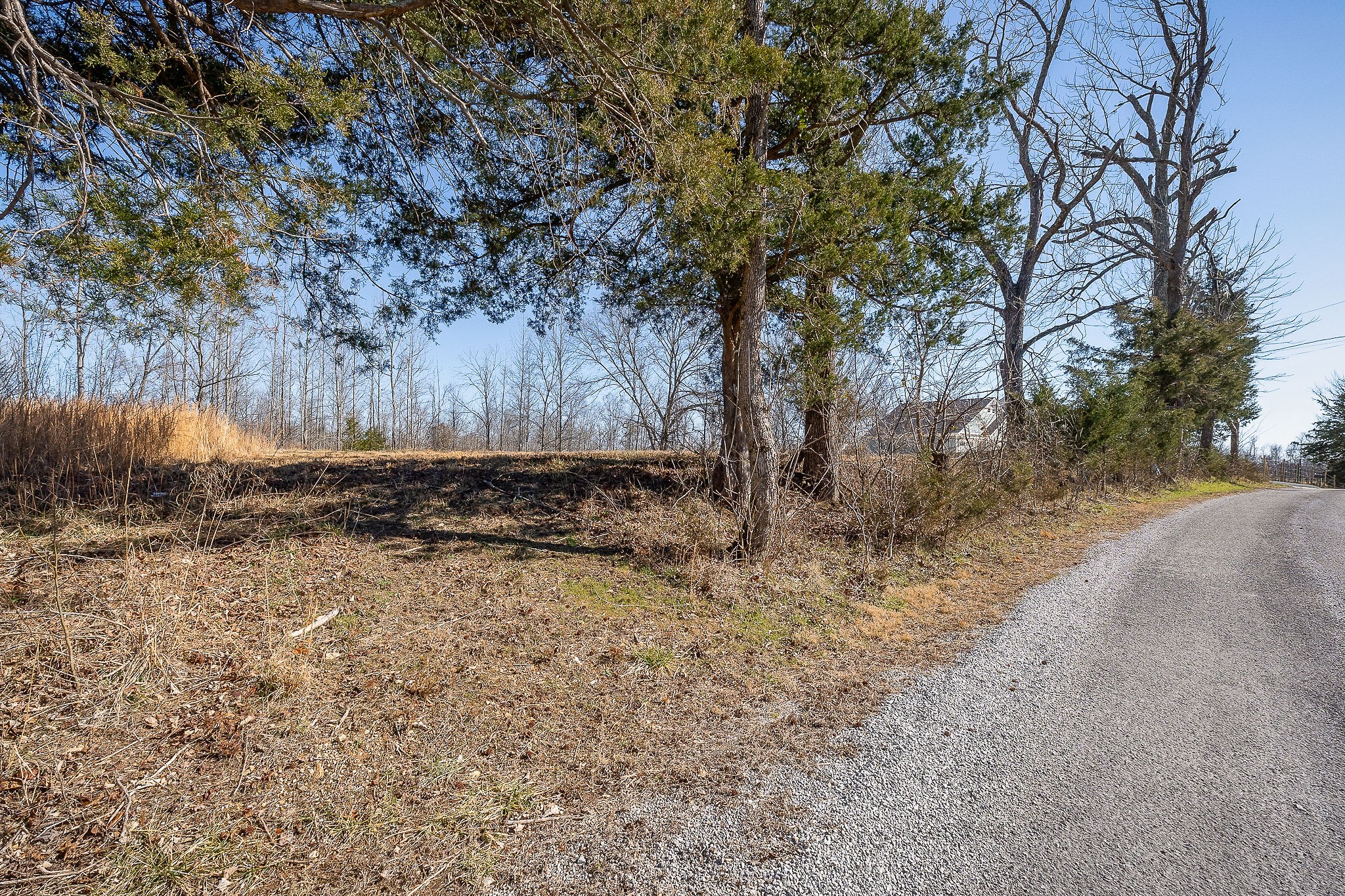 0 Backbone Road Sparta, TN 38583 - Photo 12 of 14
