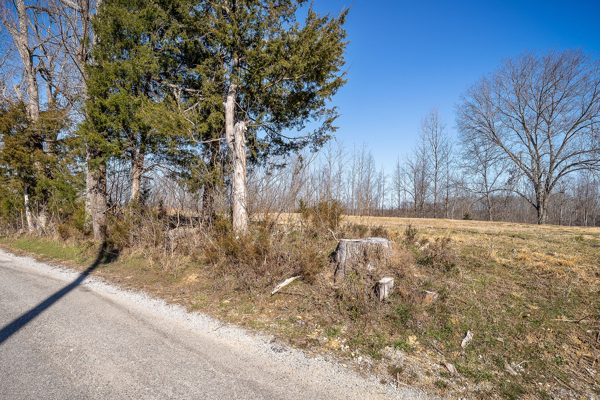 0 Backbone Road Sparta, TN 38583 - Photo 14 of 14