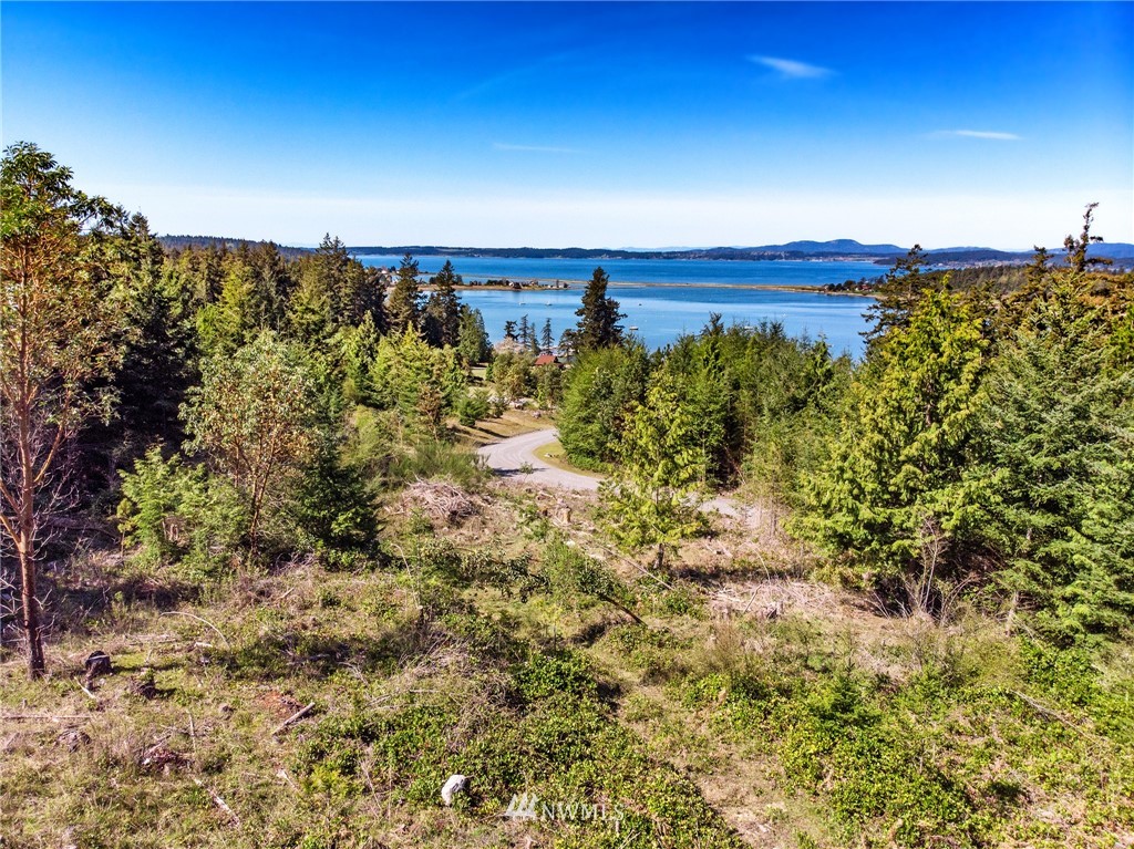 10 Rum Runner Road Lopez Island, WA 98261 - Photo 7 of 7 Gallery Image 7