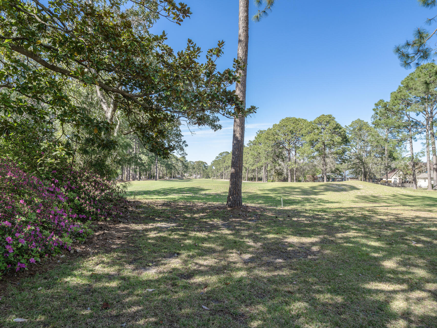 1182 Muirfield Way Niceville, FL 32578 - Photo 42 of 45 a view of a yard with a tree