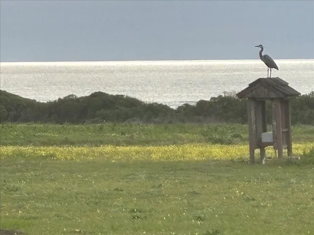 a living room with a fireplace