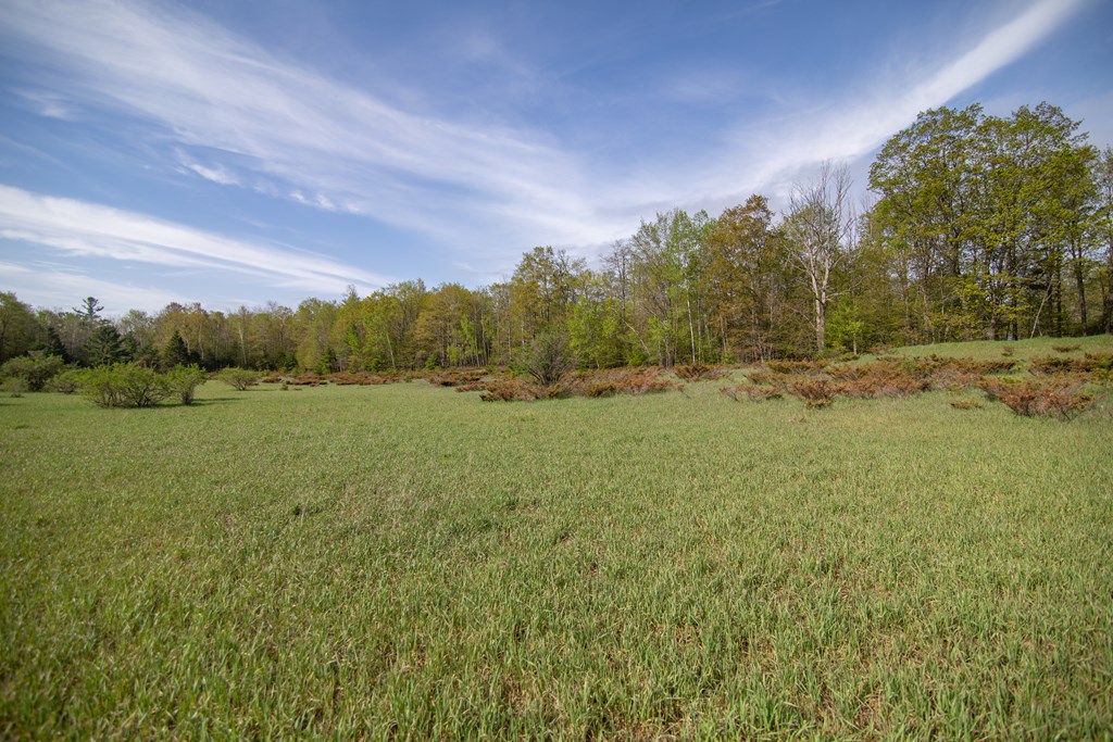 Lot 31 County Road Fish Creek, WI 54212 - Photo 4 of 7
