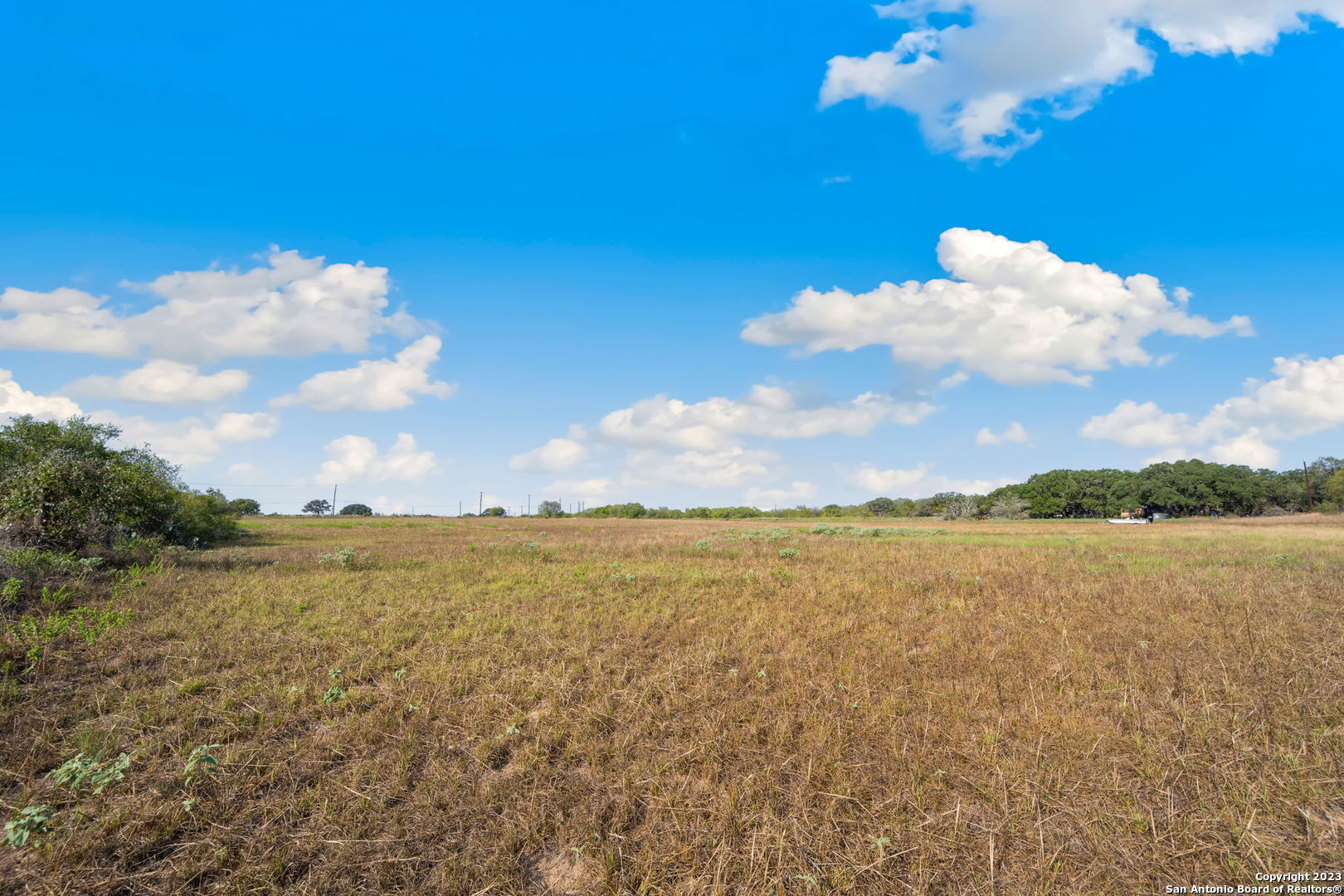 4401 Hardy Road Elmendorf, TX 78112 - Photo 11 of 19