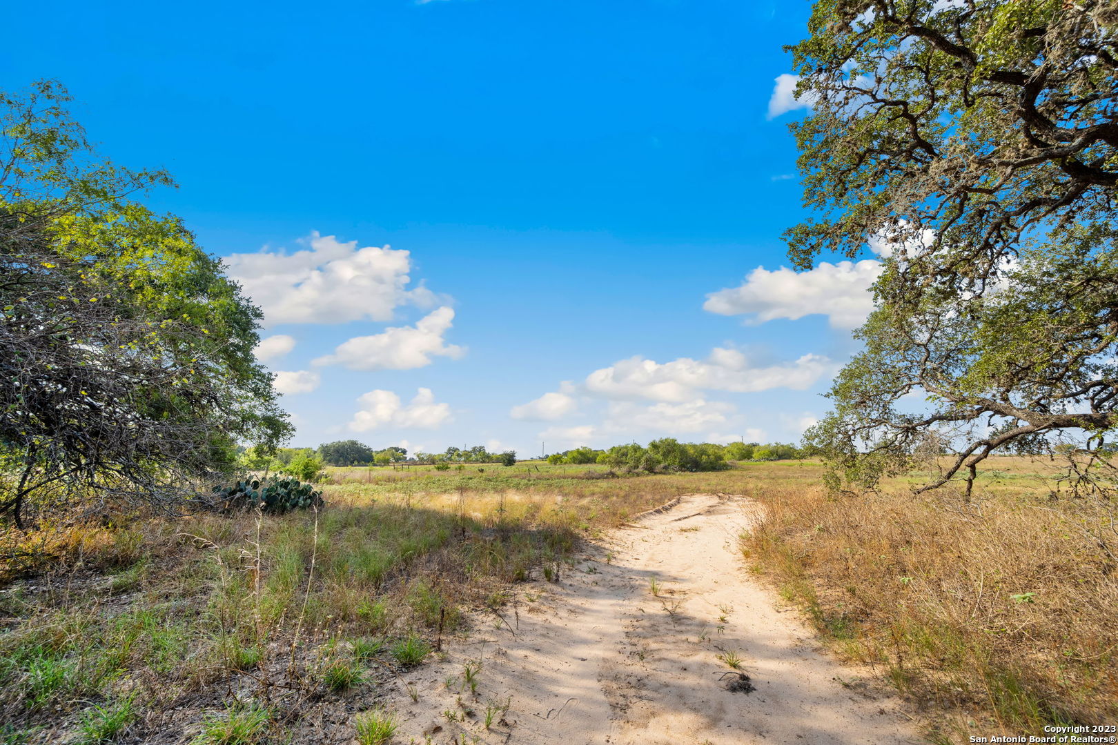 4401 Hardy Road Elmendorf, TX 78112 - Photo 2 of 19