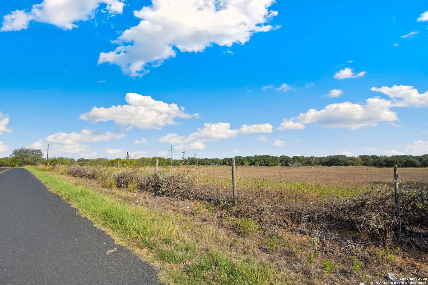 4401 Hardy Road Elmendorf, TX 78112 - Photo 6 of 18