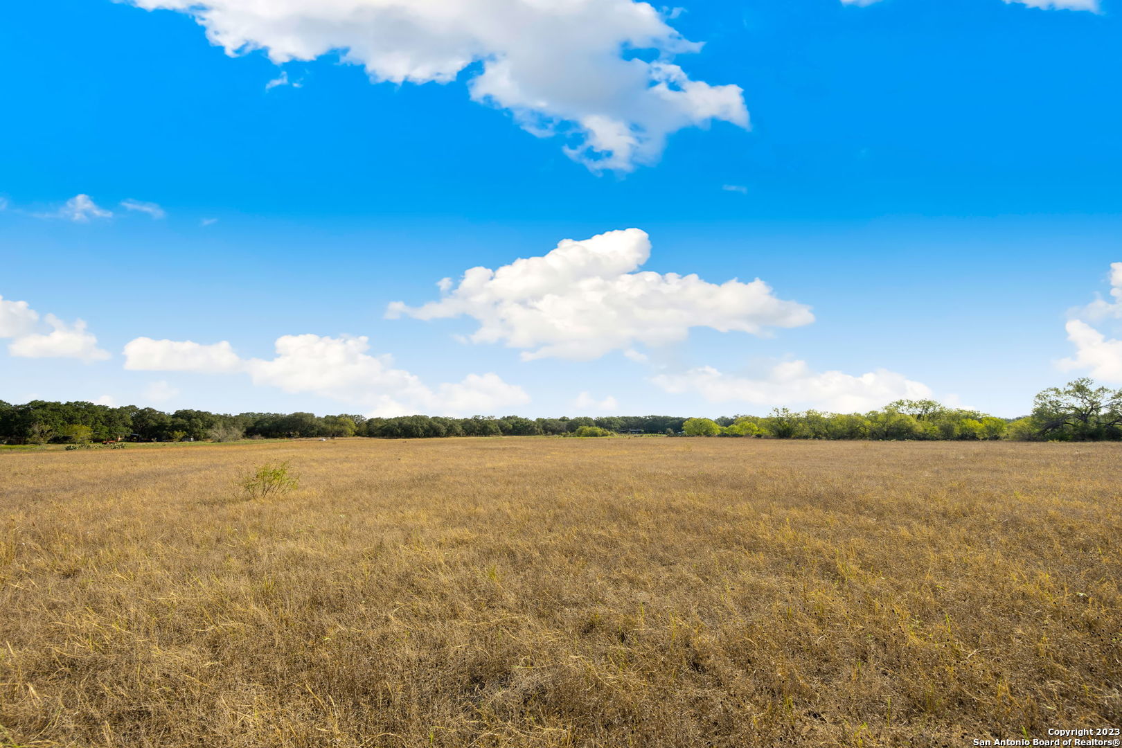 4401 Hardy Road Elmendorf, TX 78112 - Photo 8 of 19
