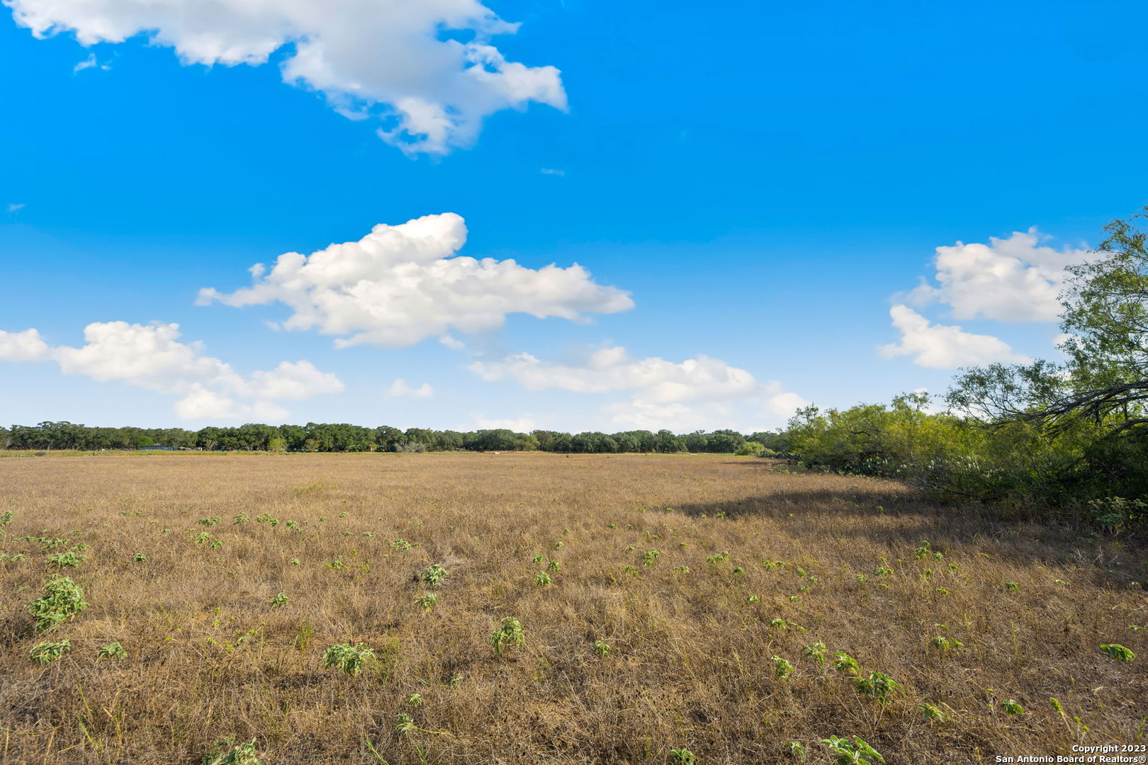 4401 Hardy Road Elmendorf, TX 78112 - Photo 9 of 19