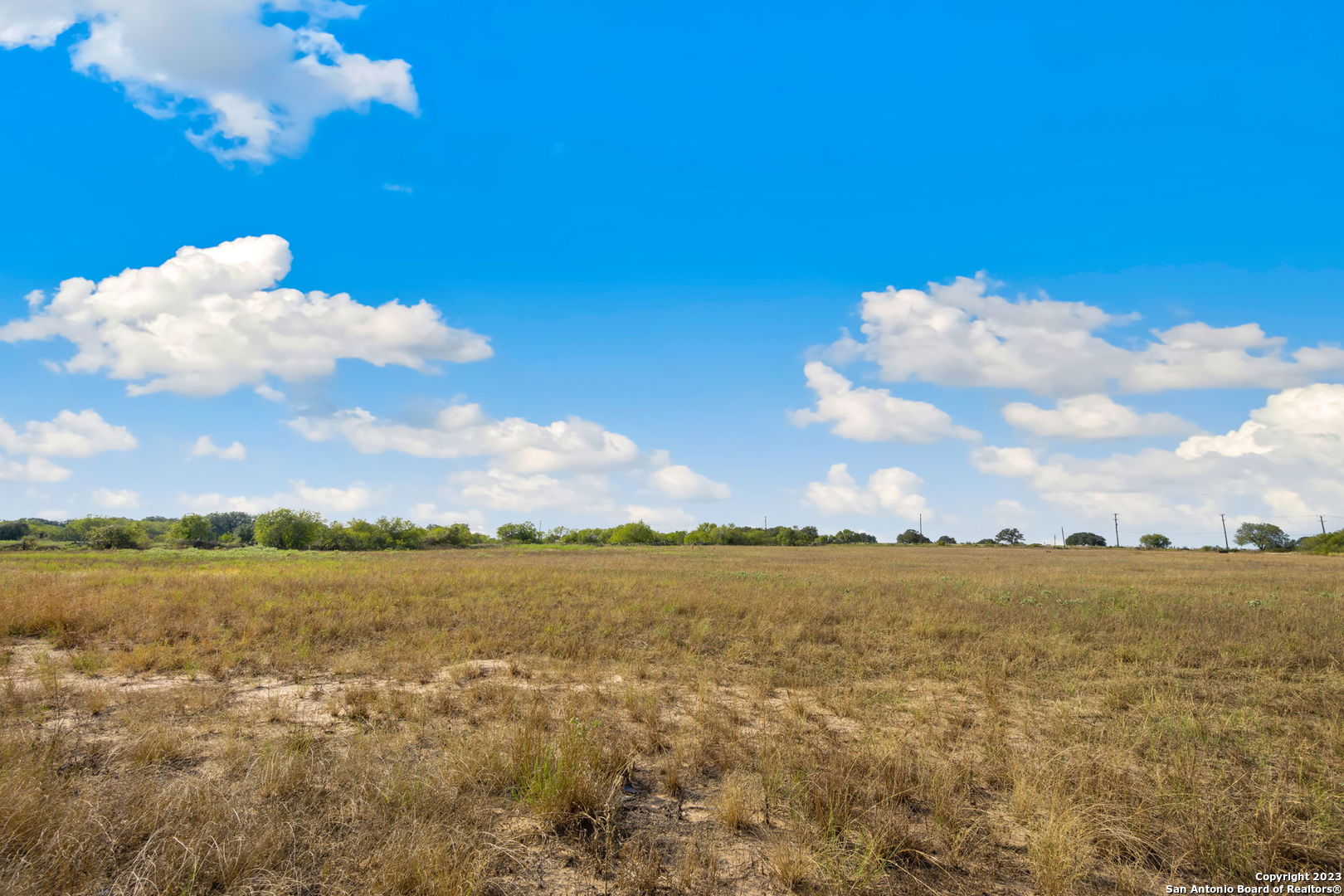4401 Hardy Road Elmendorf, TX 78112 - Photo 10 of 19