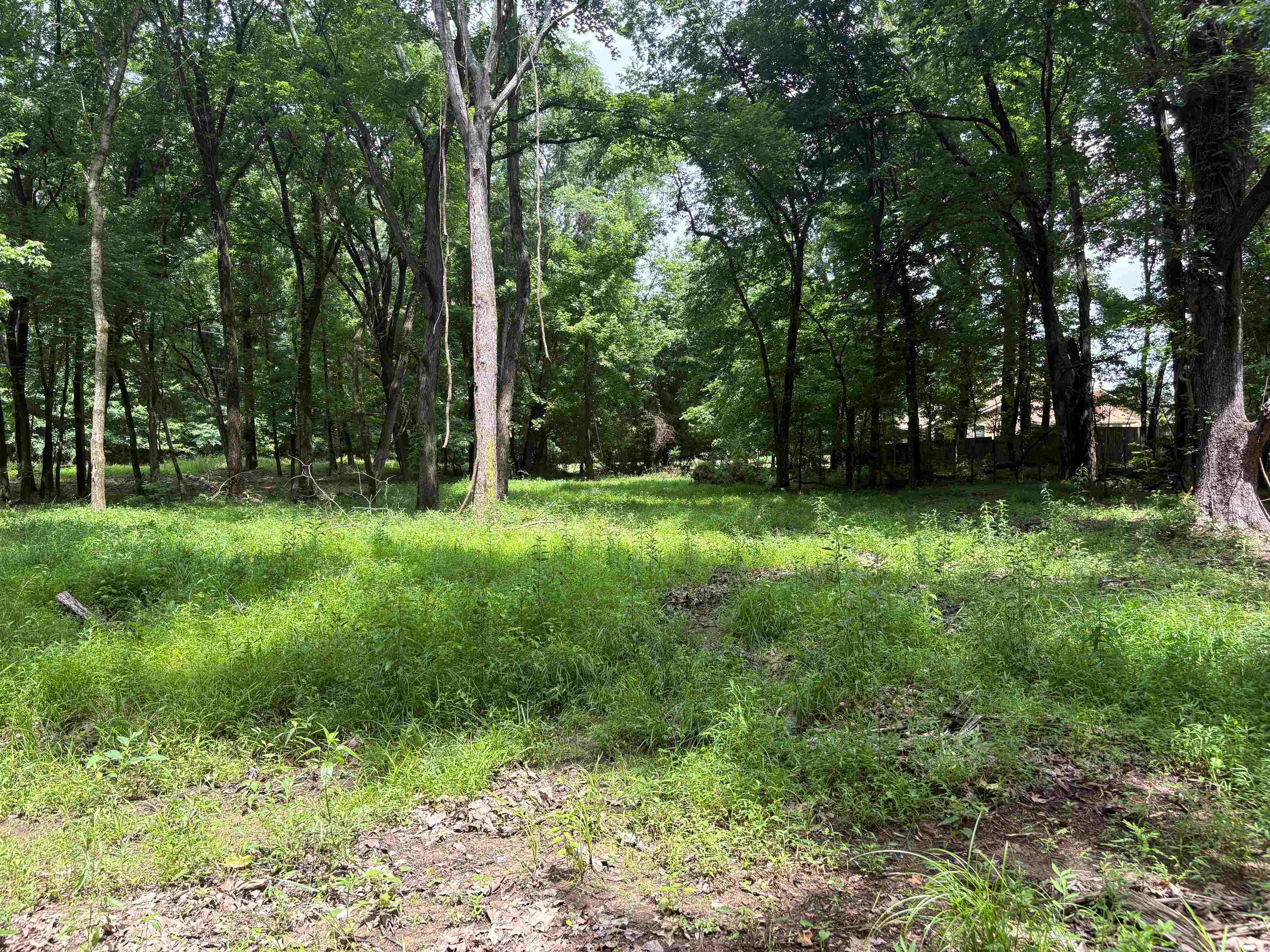 0 Billy Maher Road Bartlett, TN 38135 - Photo 17 of 19