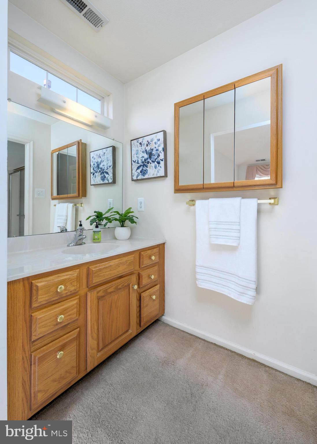 518 Hydrangea Drive Mount Laurel, NJ 08054 - Photo 25 of 33 Primary Bathroom