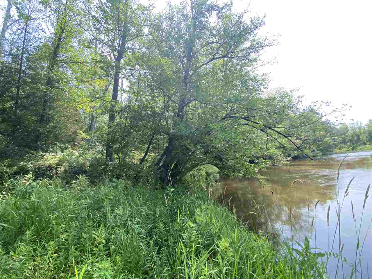 0 Briggs Road Omer, MI 48749 - Photo 18 of 45