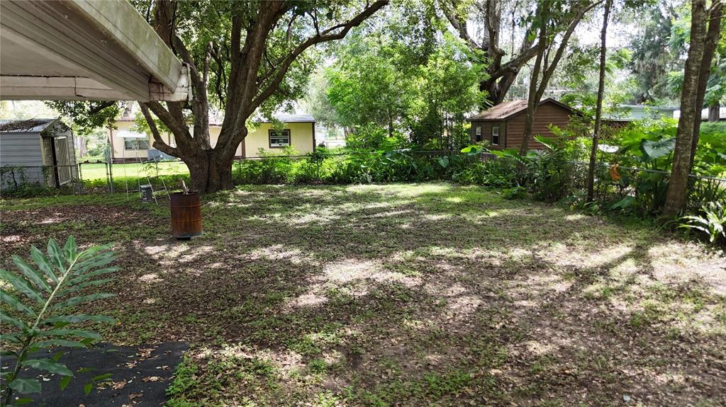 16935 Southeast 101st Avenue Road Summerfield, FL 34491 - Photo 14 of 17 a fire hydrant in middle of the forest