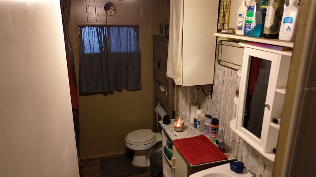 16935 Southeast 101st Avenue Road Summerfield, FL 34491 - Photo 6 of 17 a bathroom with a toilet a sink and a mirror