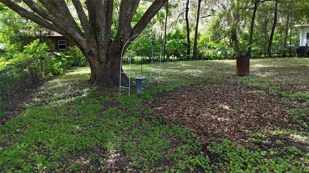 16935 Southeast 101st Avenue Road Summerfield, FL 34491 - Photo 8 of 17 a big yard with lots of green space and trees