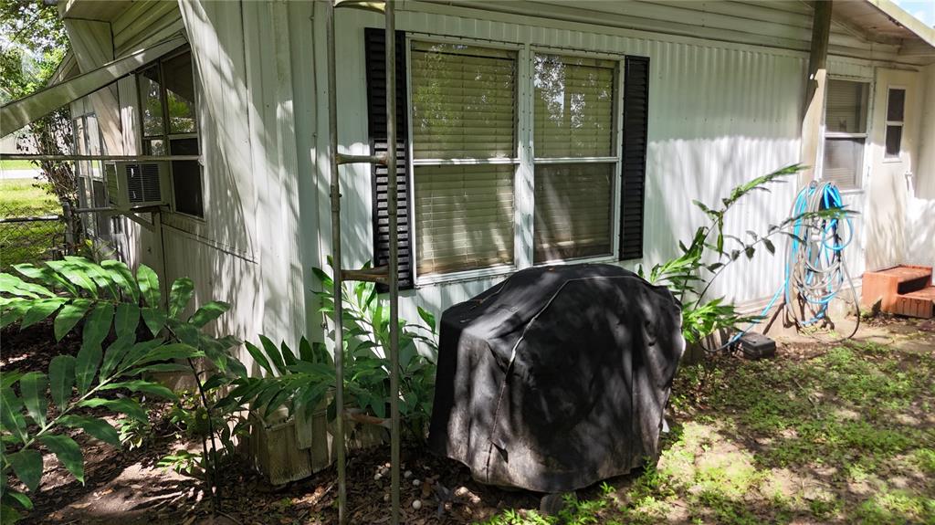16935 Southeast 101st Avenue Road Summerfield, FL 34491 - Photo 9 of 17 a close up of a potted plant
