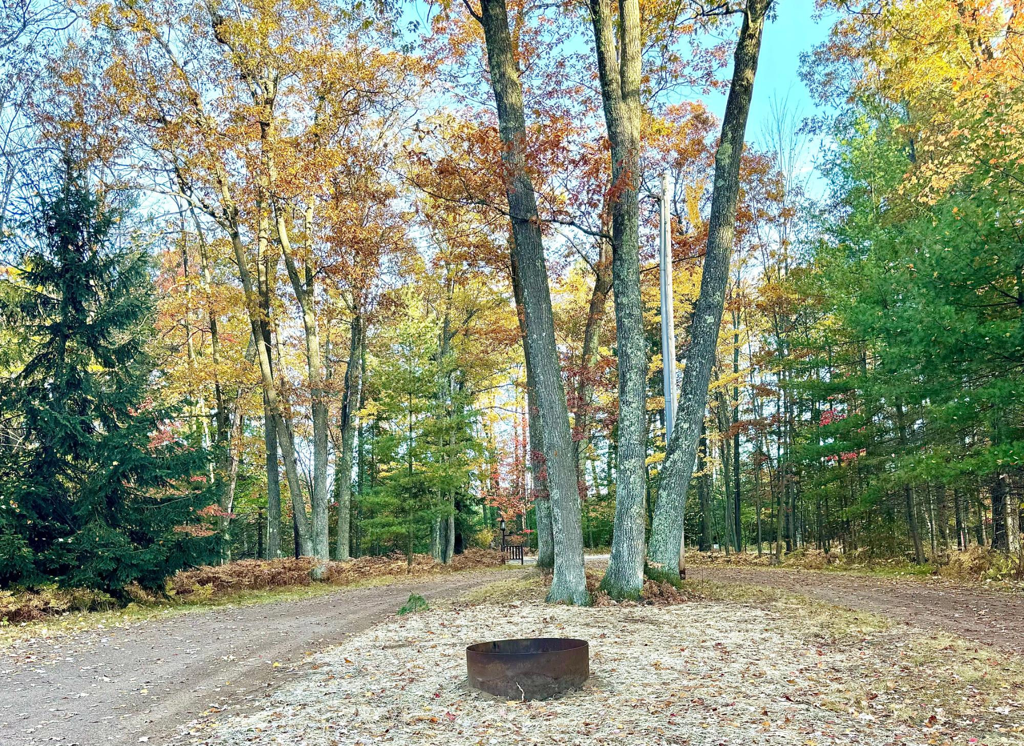 9749 Blue Lake Road Minocqua, WI 54548 - Photo 5 of 16 Gallery Image 5