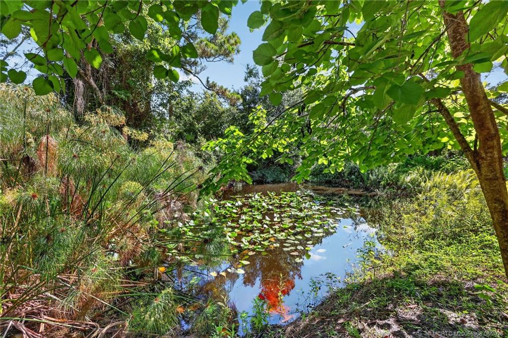 11145 Southwest Meadowlark Circle Stuart, FL 34997 - Photo 66 of 107 Large natural pond with flowering lily pads