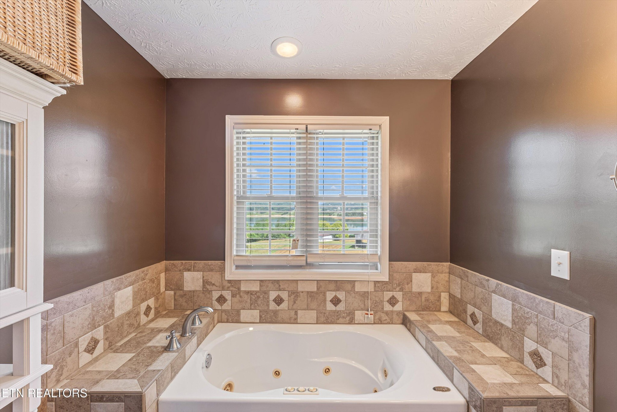 1789 Tater Hill Road Bean Station, TN 37708 - Photo 30 of 56 Gallery Image 30