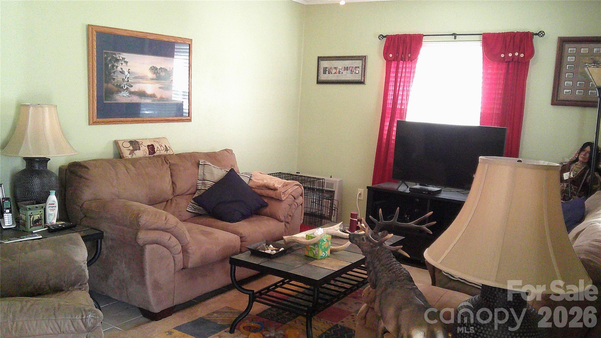 41 Shirdash Street Maggie Valley, NC 28751 - Photo 3 of 18 a living room with furniture a flat screen tv and a lamp
