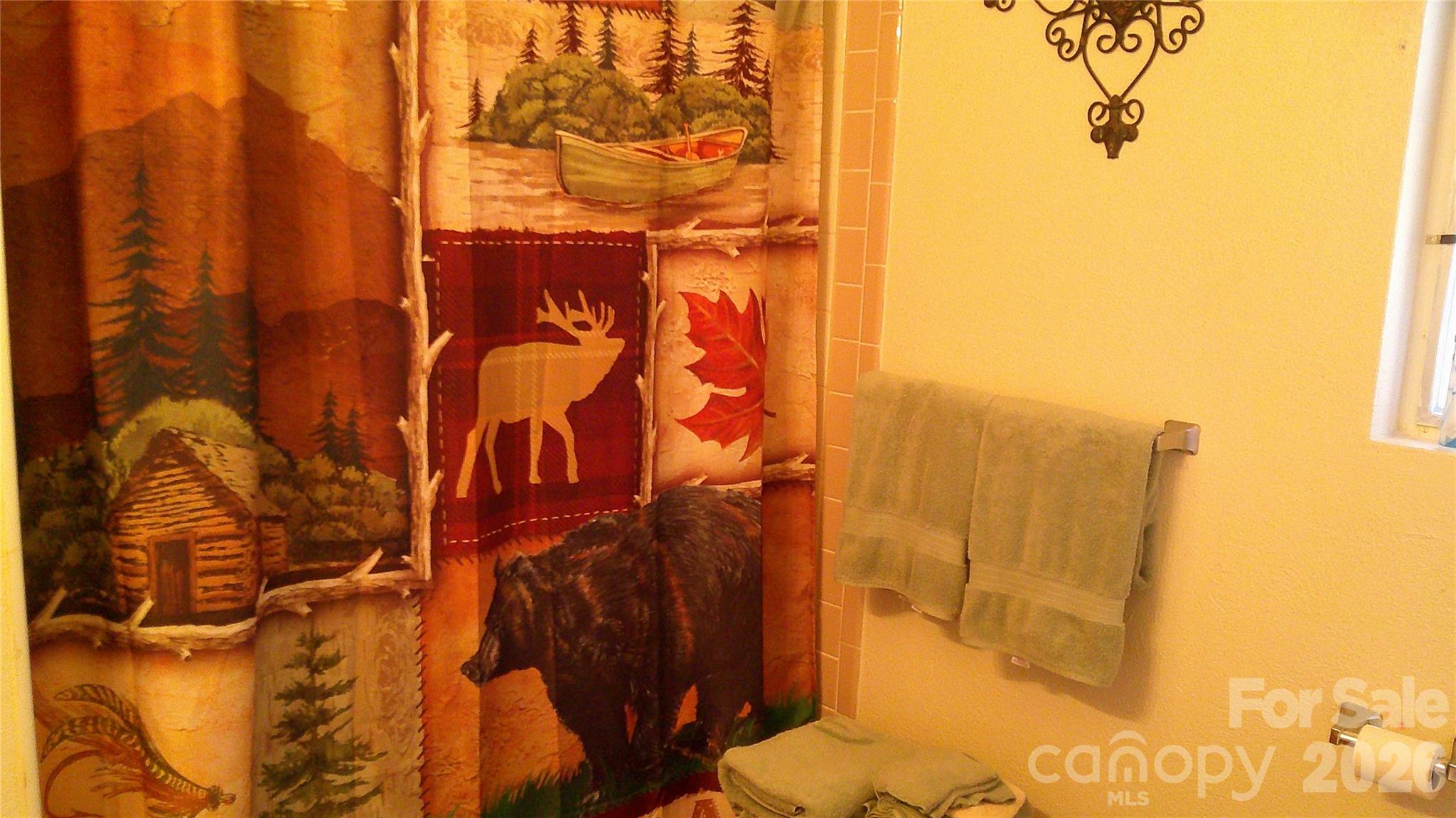 41 Shirdash Street Maggie Valley, NC 28751 - Photo 8 of 18 a bathroom with a shower curtain